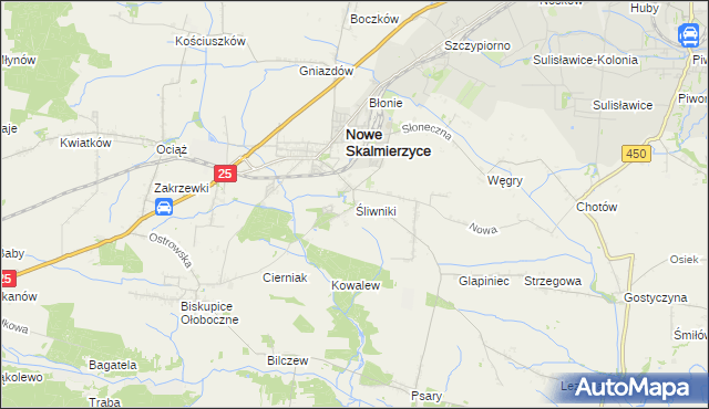 mapa Śliwniki gmina Nowe Skalmierzyce, Śliwniki gmina Nowe Skalmierzyce na mapie Targeo