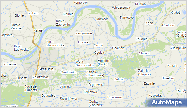 mapa Borki gmina Szczucin, Borki gmina Szczucin na mapie Targeo