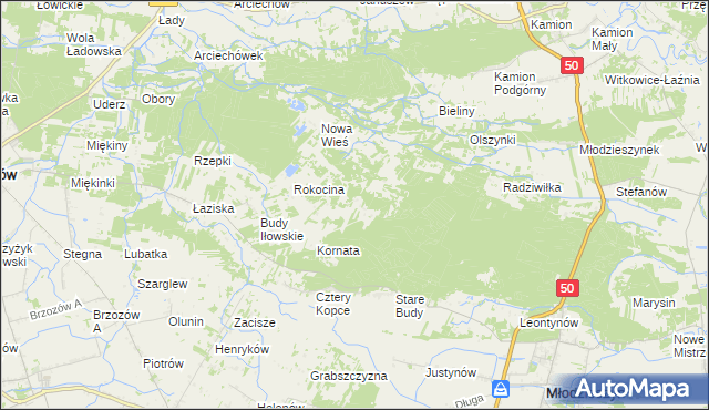 mapa Rokicina, Rokicina na mapie Targeo