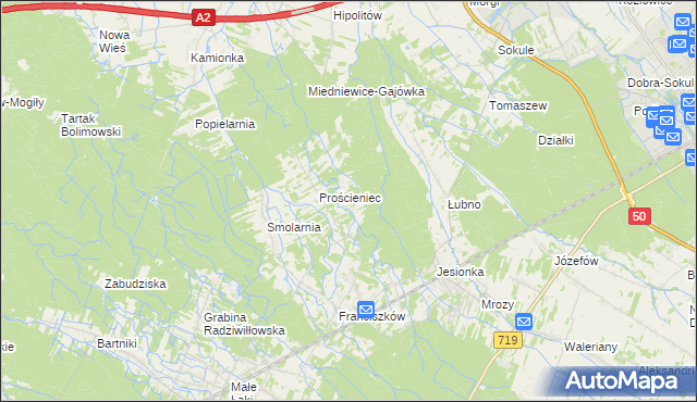 mapa Antoniew gmina Wiskitki, Antoniew gmina Wiskitki na mapie Targeo