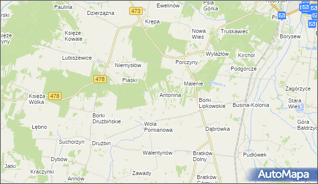 mapa Antonina gmina Poddębice, Antonina gmina Poddębice na mapie Targeo