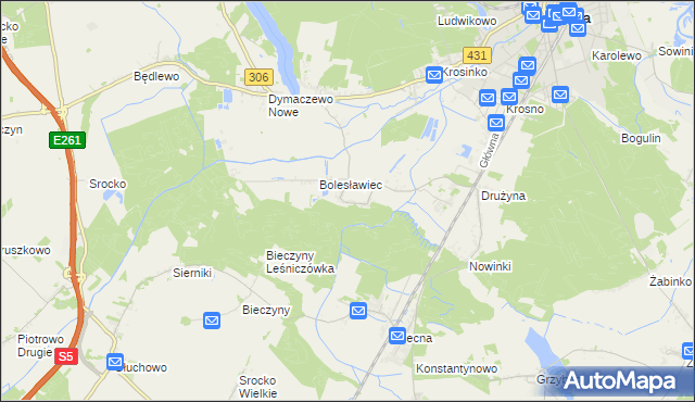 mapa Borkowice gmina Mosina, Borkowice gmina Mosina na mapie Targeo