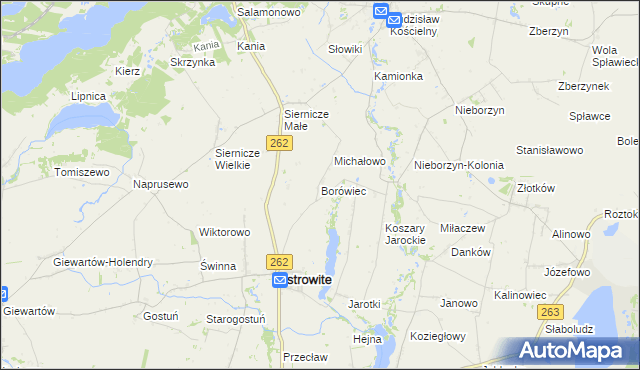 mapa Borówiec gmina Ostrowite, Borówiec gmina Ostrowite na mapie Targeo