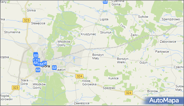 mapa Borszyn Mały, Borszyn Mały na mapie Targeo