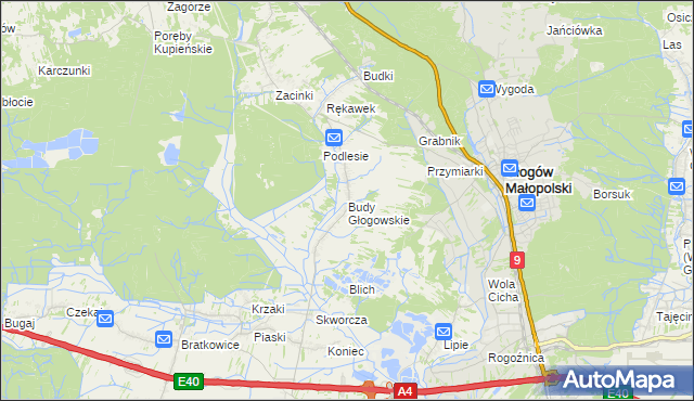 mapa Budy Głogowskie, Budy Głogowskie na mapie Targeo