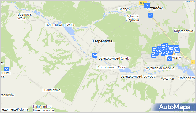 mapa Dzierzkowice-Rynek, Dzierzkowice-Rynek na mapie Targeo