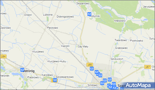 mapa Gaj Mały gmina Obrzycko, Gaj Mały gmina Obrzycko na mapie Targeo