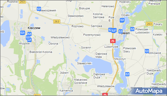 mapa Goraninek gmina Ślesin, Goraninek gmina Ślesin na mapie Targeo