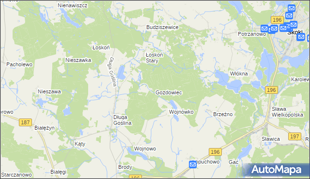 mapa Gozdowiec, Gozdowiec na mapie Targeo