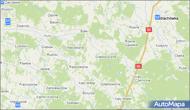 mapa Grabszczyzna, Grabszczyzna na mapie Targeo