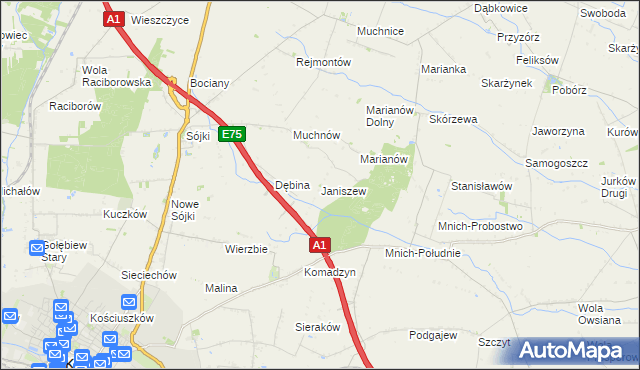 mapa Janiszew gmina Strzelce, Janiszew gmina Strzelce na mapie Targeo