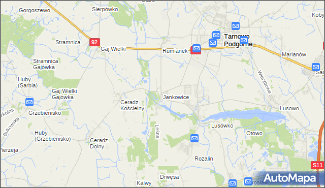 mapa Jankowice gmina Tarnowo Podgórne, Jankowice gmina Tarnowo Podgórne na mapie Targeo