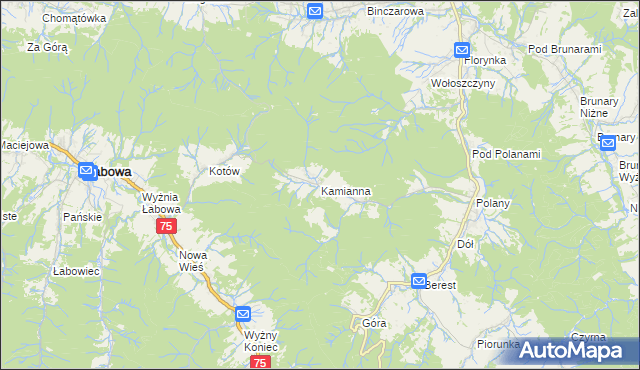 mapa Kamianna, Kamianna na mapie Targeo