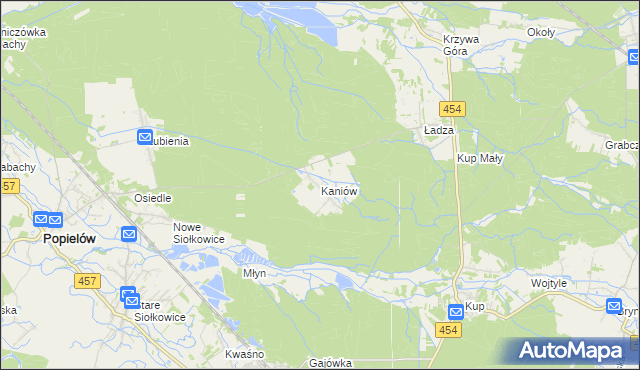 mapa Kaniów gmina Popielów, Kaniów gmina Popielów na mapie Targeo