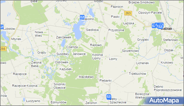 mapa Kolonia Lipiny gmina Sompolno, Kolonia Lipiny gmina Sompolno na mapie Targeo
