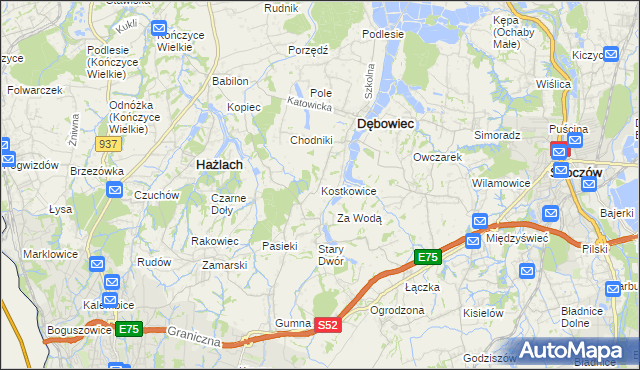 mapa Kostkowice gmina Dębowiec, Kostkowice gmina Dębowiec na mapie Targeo