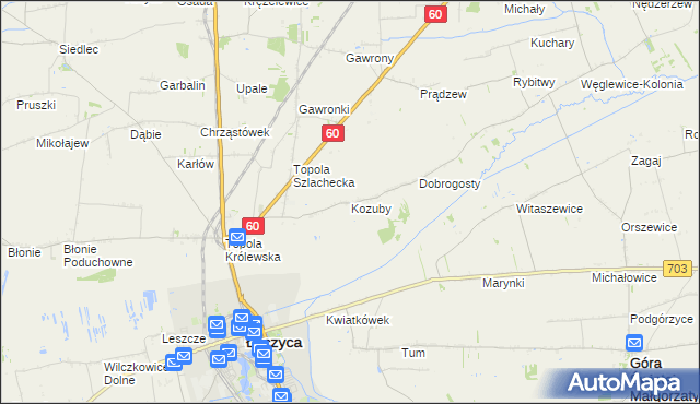 mapa Kozuby gmina Łęczyca, Kozuby gmina Łęczyca na mapie Targeo