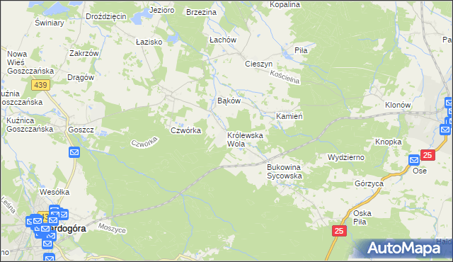 mapa Królewska Wola gmina Międzybórz, Królewska Wola gmina Międzybórz na mapie Targeo