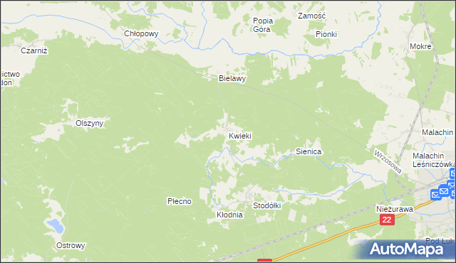 mapa Kwieki, Kwieki na mapie Targeo