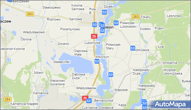 mapa Mikorzyn gmina Ślesin, Mikorzyn gmina Ślesin na mapie Targeo