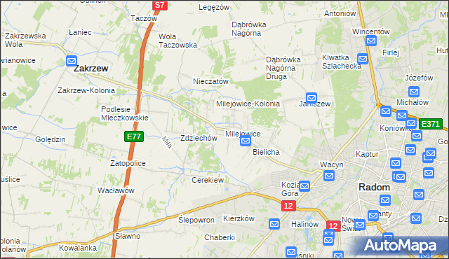 mapa Milejowice gmina Zakrzew, Milejowice gmina Zakrzew na mapie Targeo