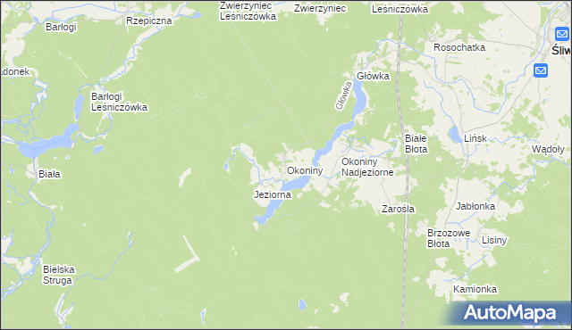 mapa Okoniny gmina Śliwice, Okoniny gmina Śliwice na mapie Targeo