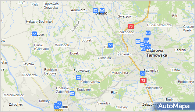 mapa Oleśnica gmina Olesno, Oleśnica gmina Olesno na mapie Targeo