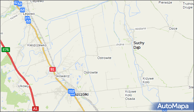 mapa Ostrowite gmina Suchy Dąb, Ostrowite gmina Suchy Dąb na mapie Targeo