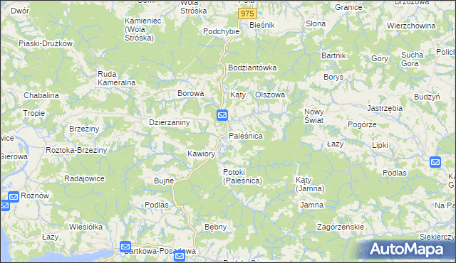 mapa Paleśnica, Paleśnica na mapie Targeo