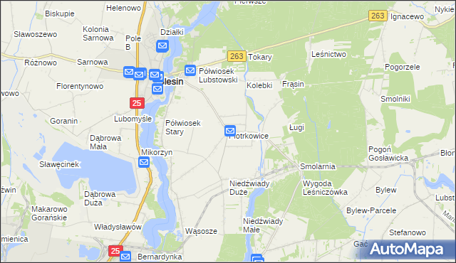 mapa Piotrkowice gmina Ślesin, Piotrkowice gmina Ślesin na mapie Targeo