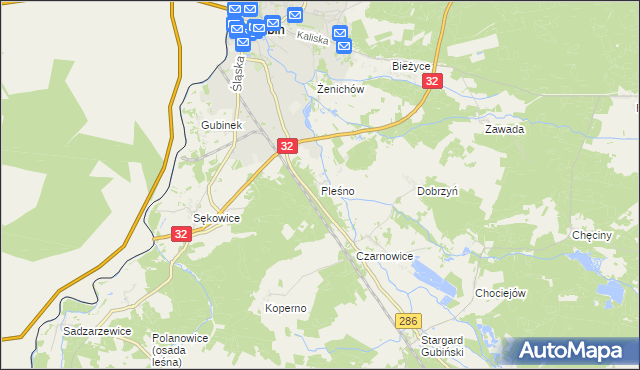 mapa Pleśno gmina Gubin, Pleśno gmina Gubin na mapie Targeo