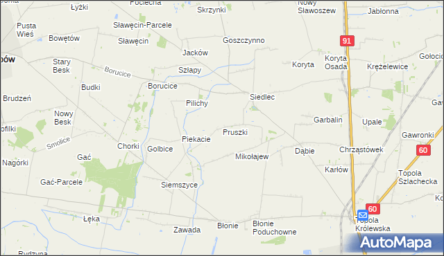 mapa Pruszki gmina Łęczyca, Pruszki gmina Łęczyca na mapie Targeo