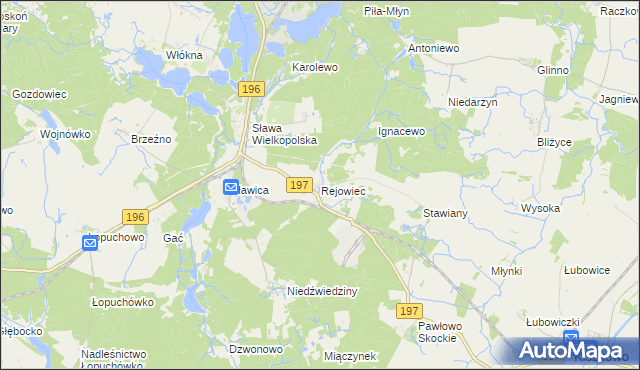 mapa Rejowiec gmina Skoki, Rejowiec gmina Skoki na mapie Targeo