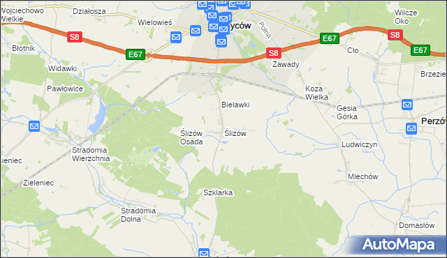 mapa Ślizów, Ślizów na mapie Targeo