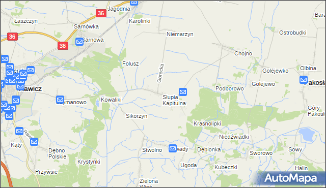 mapa Słupia Kapitulna, Słupia Kapitulna na mapie Targeo