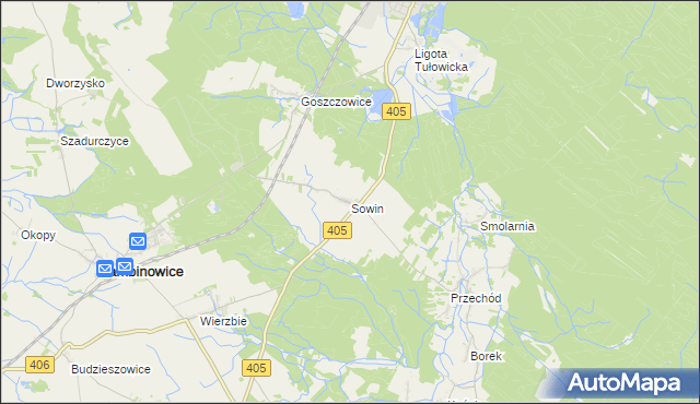 mapa Sowin gmina Łambinowice, Sowin gmina Łambinowice na mapie Targeo