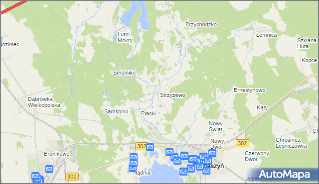 mapa Strzyżewo gmina Zbąszyń, Strzyżewo gmina Zbąszyń na mapie Targeo