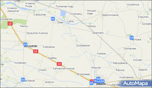 mapa Suliszewice gmina Błaszki, Suliszewice gmina Błaszki na mapie Targeo