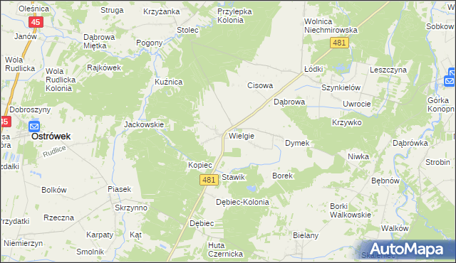mapa Wielgie gmina Ostrówek, Wielgie gmina Ostrówek na mapie Targeo