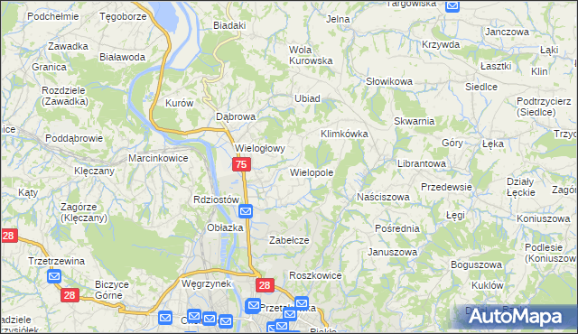 mapa Wielopole gmina Chełmiec, Wielopole gmina Chełmiec na mapie Targeo