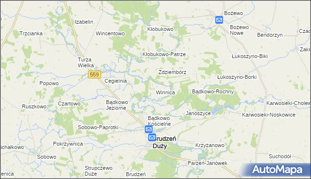 mapa Winnica gmina Brudzeń Duży, Winnica gmina Brudzeń Duży na mapie Targeo