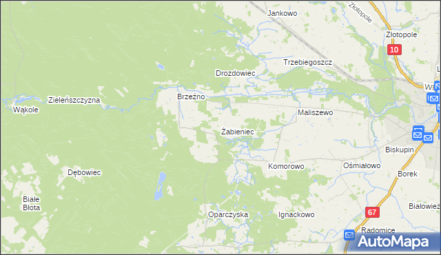 mapa Żabieniec gmina Lipno, Żabieniec gmina Lipno na mapie Targeo