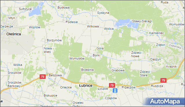 mapa Borki gmina Łubnice, Borki gmina Łubnice na mapie Targeo