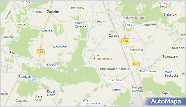 mapa Borki Prusinowskie, Borki Prusinowskie na mapie Targeo