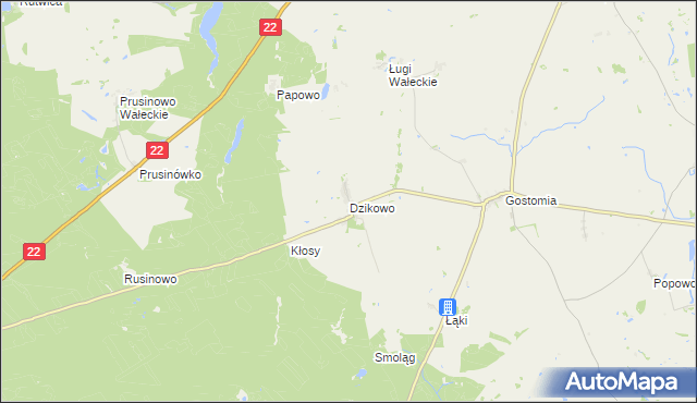 mapa Dzikowo gmina Wałcz, Dzikowo gmina Wałcz na mapie Targeo