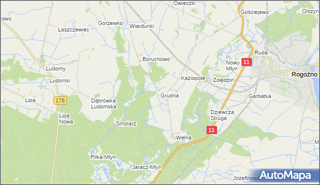 mapa Grudna gmina Rogoźno, Grudna gmina Rogoźno na mapie Targeo