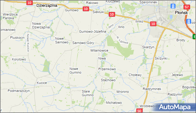 mapa Niwa gmina Dzierzążnia, Niwa gmina Dzierzążnia na mapie Targeo