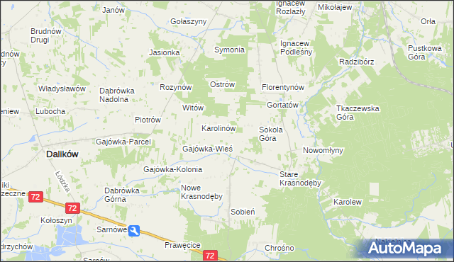 mapa Anastazew gmina Parzęczew, Anastazew gmina Parzęczew na mapie Targeo