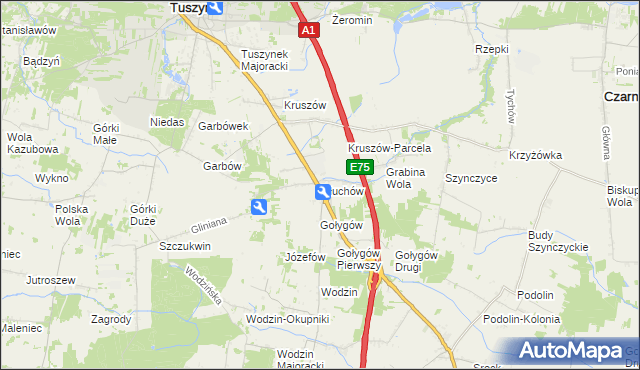 mapa Głuchów gmina Tuszyn, Głuchów gmina Tuszyn na mapie Targeo