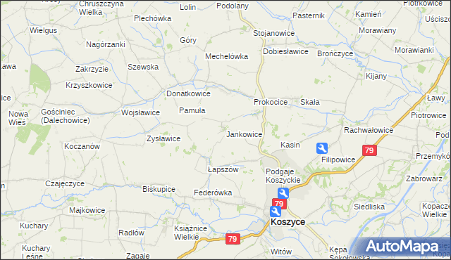 mapa Jankowice gmina Koszyce, Jankowice gmina Koszyce na mapie Targeo